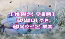 [계절성 우울증] 햇볕이 주는 행복호르몬 부족