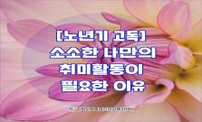 [노년기 고독] 소소한 나만의 취미활동이 필요한 이유