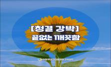 [청결 강박] 끝없는 깨끗함