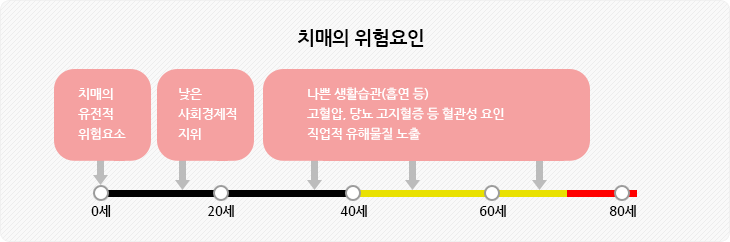 치매의 위험요인